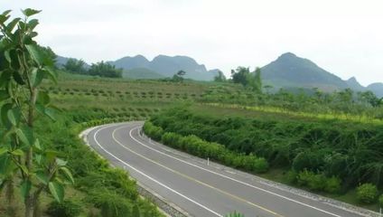 道路建設(shè)中的邊坡修復策略與應(yīng)用